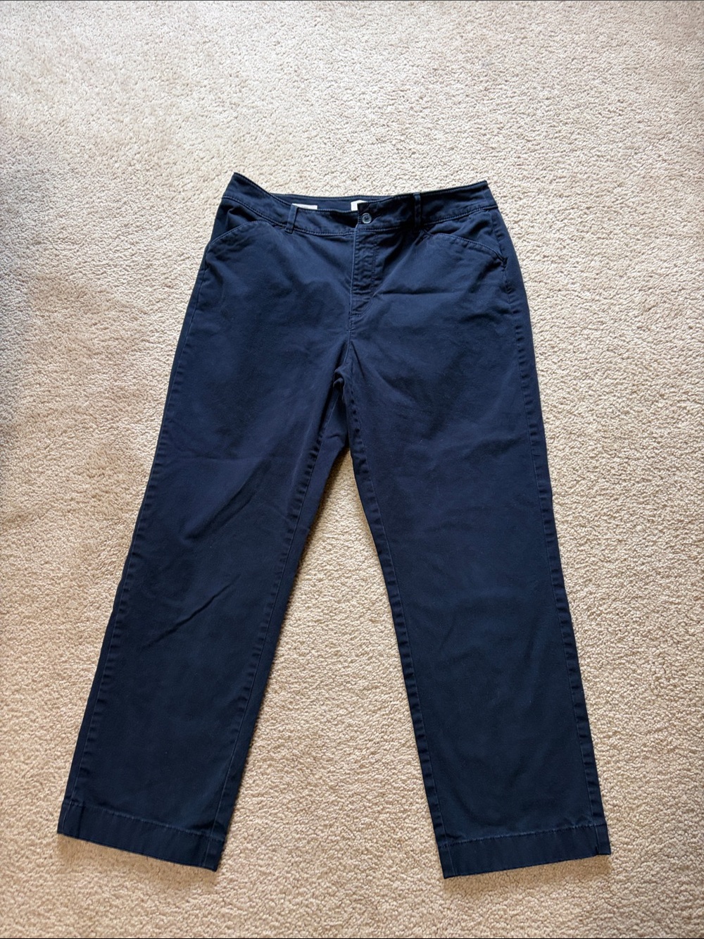 LOFT Navy Women’s - Straight Leg Pants